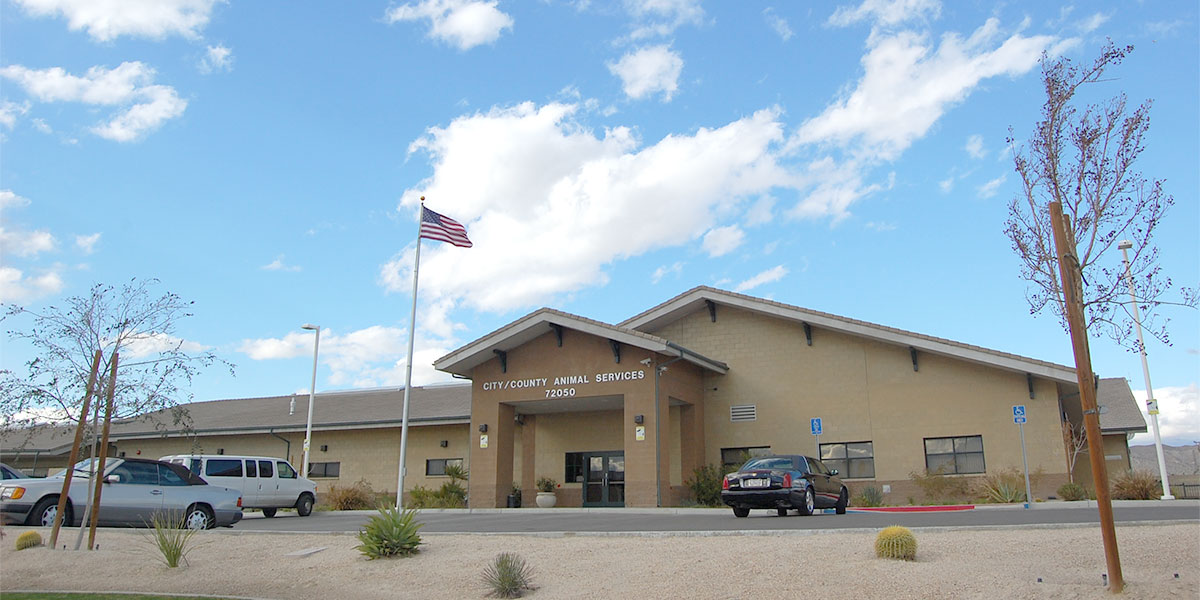 Coachella-Valley-Animal-Campus.jpg